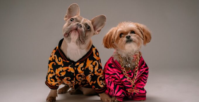 What Dog Owners Really Think About Designer Dog Fashion?